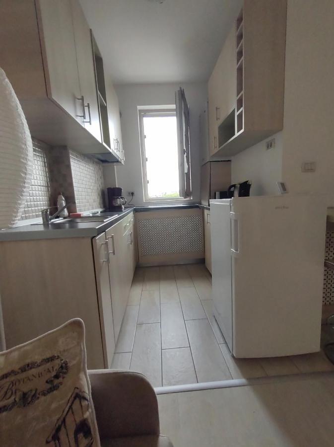 Fundeni Studios Apartment