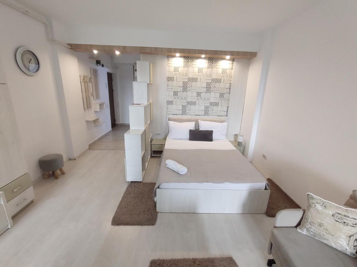 Fundeni Studios Apartment