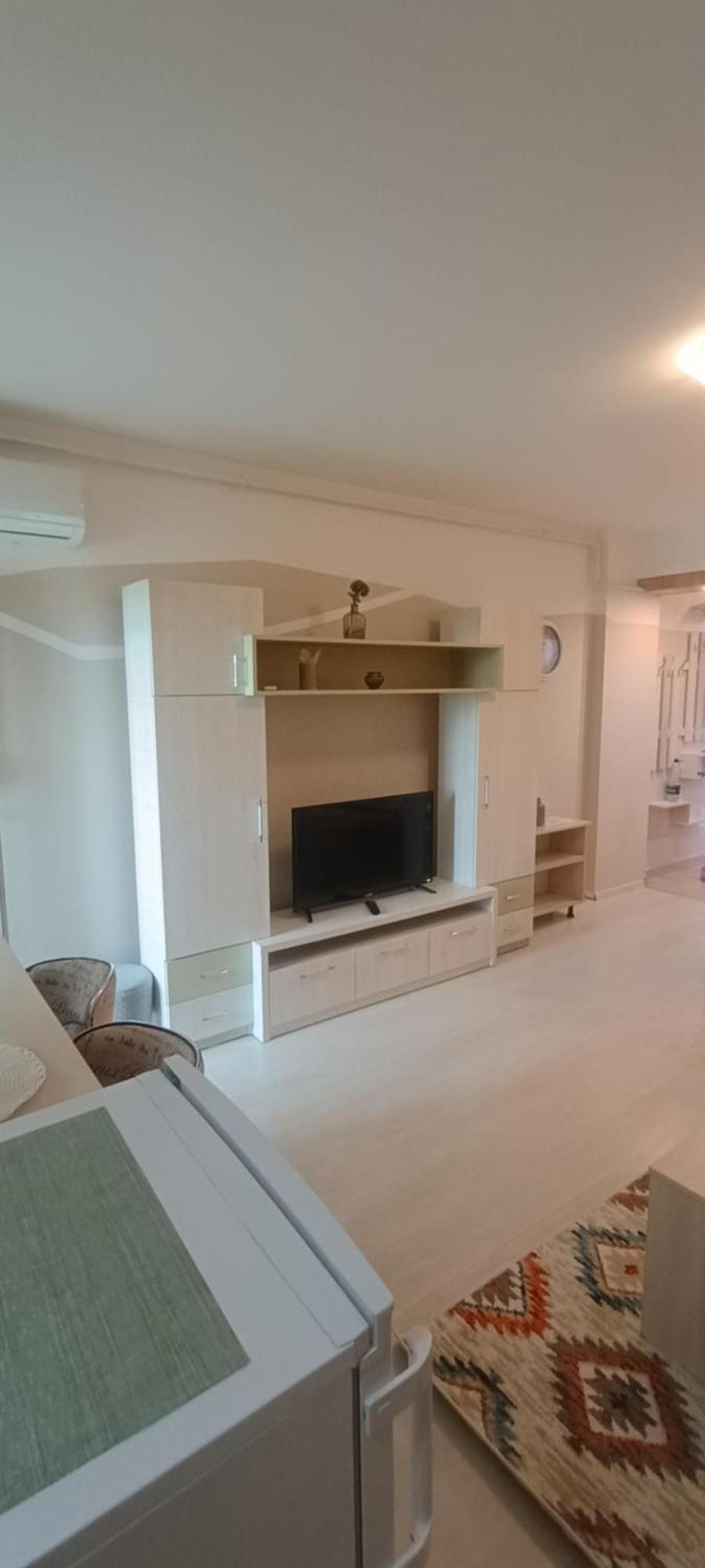 Fundeni Studios Apartment *